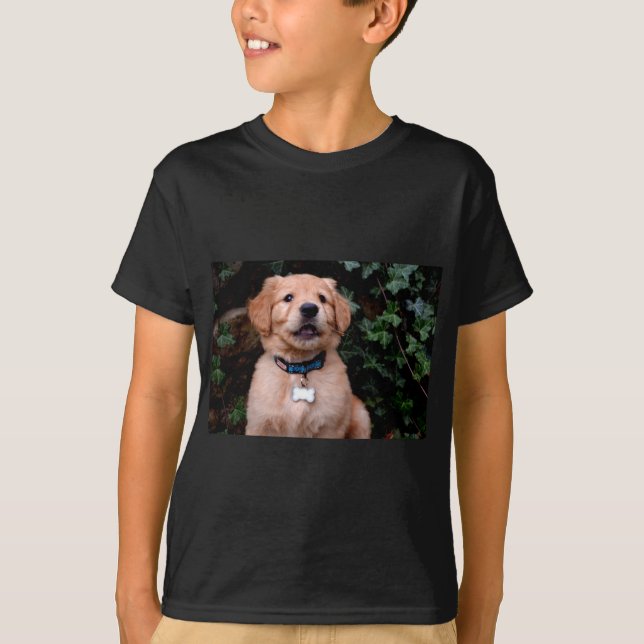 Camiseta Cãozinho, Ouro de foto de cachorrinho bonito - Ret (Frente)