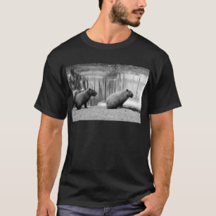 Camiseta capivara de manga curta para senhoras, desenhos animados  engraçados, fofos, casuais, animais brancos, camisa capivaras, gráfico