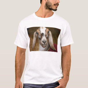 Camiseta Caprine branco da listra da gama da cabra da