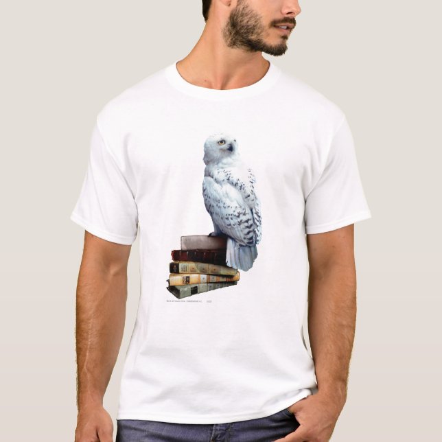 Camiseta Captura de livros (Frente)