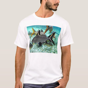 Camiseta Captura de peixe na primavera, Espanha