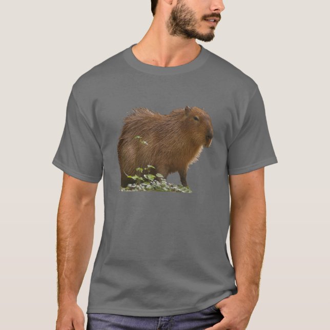 Camiseta Capybara (Frente)