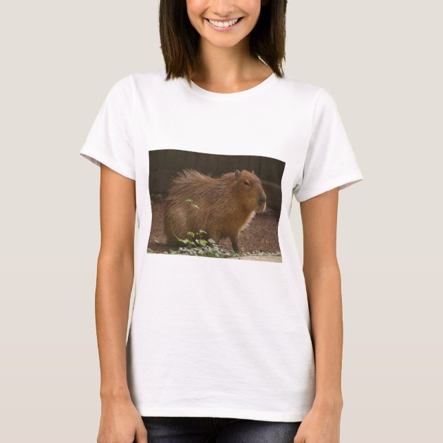 Camiseta Capybara (Frente)