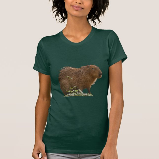 Camiseta Capybara (Frente)