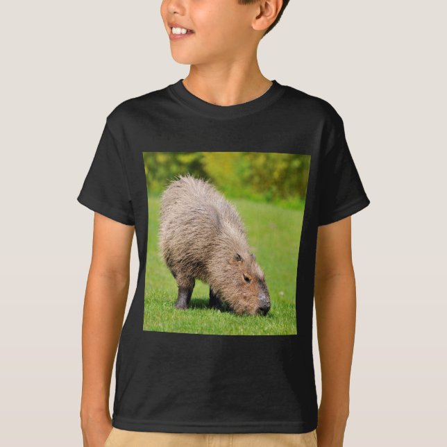 Camiseta Capybara comendo grama (Frente)