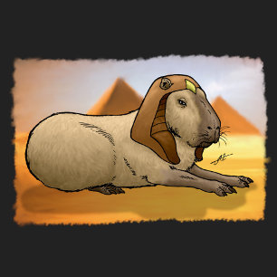 Camiseta Capybara Sphinx