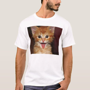 Camiseta Cara alaranjada engraçada do gatinho