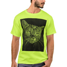 Cara do gato meu desenho do segundo grau