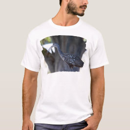 Camiseta Caramujo, O Pássaro Chorão