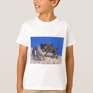 Camiseta Caranguejo
