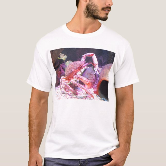 Camiseta Caranguejo-aranha (Frente)