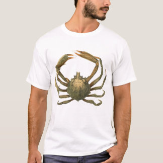 Camiseta Caranguejo-aranha