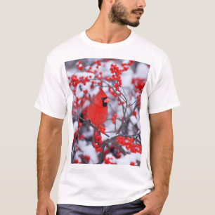 Camiseta Cardinal-vermelho macho, Inverno, IL