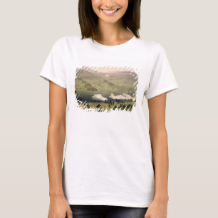 Camiseta Carga da brigada da cavalaria clara, o 25 de
