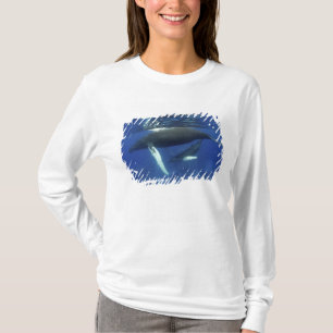 Camiseta Caribe, arquipélago das Grandes Antilhas,