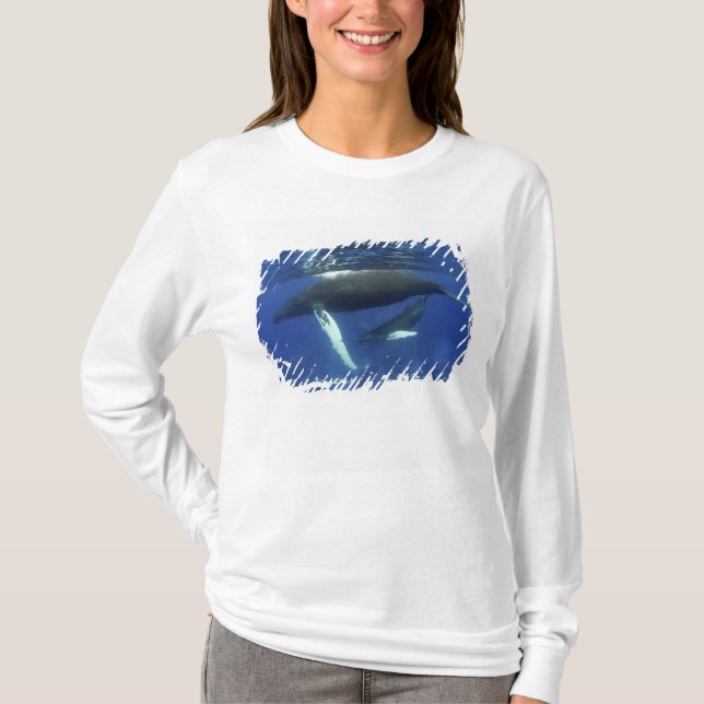 Camiseta Caribe, arquipélago das Grandes Antilhas, (Frente)