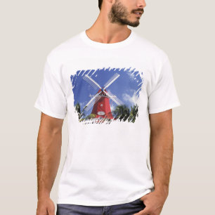 Camiseta Caribe, Aruba. Moinho Antigo, convertido em 'Moinh