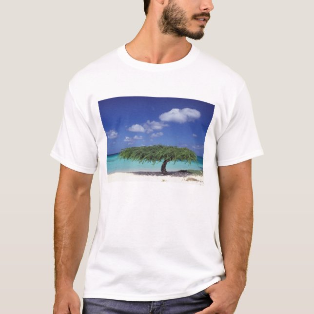 Camiseta Caribe, Aruba. Praia da Águia (Frente)