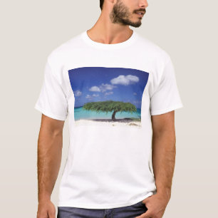 Camiseta Caribe, Aruba. Praia Eagle