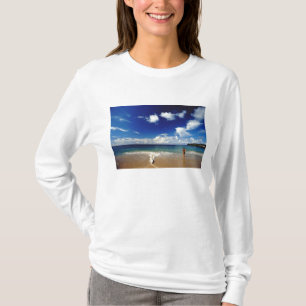 Camiseta Caribe, Pequenas Antilhas, Índias Ocidentais, 2