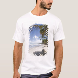 Camiseta Caribe - Trinidad - Praia de Manzanilla ativada