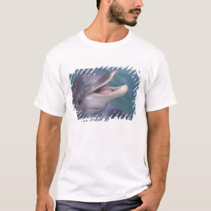 Camiseta Caribenho, golfinho-nariz-de-garrafa