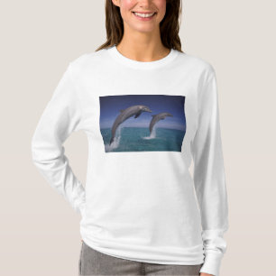 Camiseta Caribenho, golfinhos-nariz-de-garrafa Tursiops