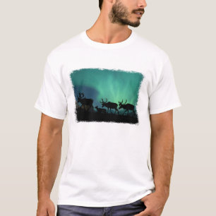Camiseta Caribu e aurora boreal