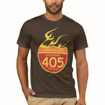 CARMAGEDDON 405 no fogo