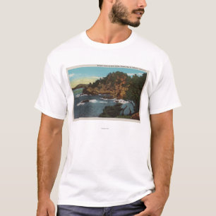 Camiseta Carmel, CA - costa áspera no ponto Lobos