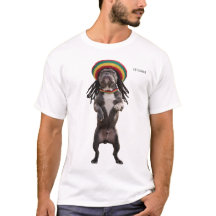 Carnaval de Leicester 2026 (camiseta de caminhada