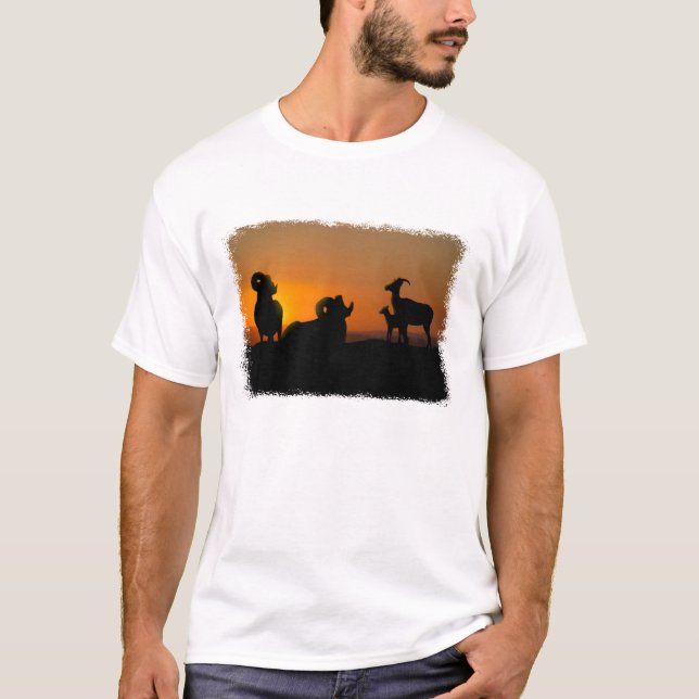 Camiseta Carneiro de Bighorn (Frente)