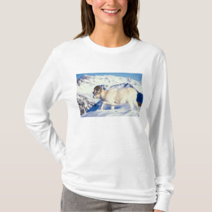Camiseta carneiro de Dall, Ovis dalli, carneiro macho de ch