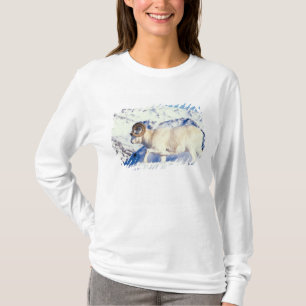 Camiseta carneiro de Dall, Ovis dalli, carneiro macho de co