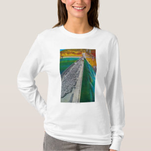 Camiseta Carneiros através da represa grande de Coulee