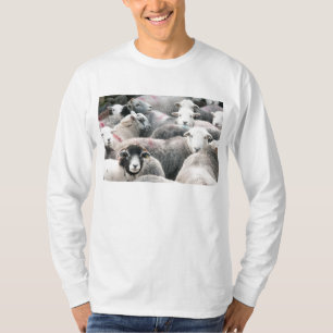 Camiseta Carneiros de Herdwick