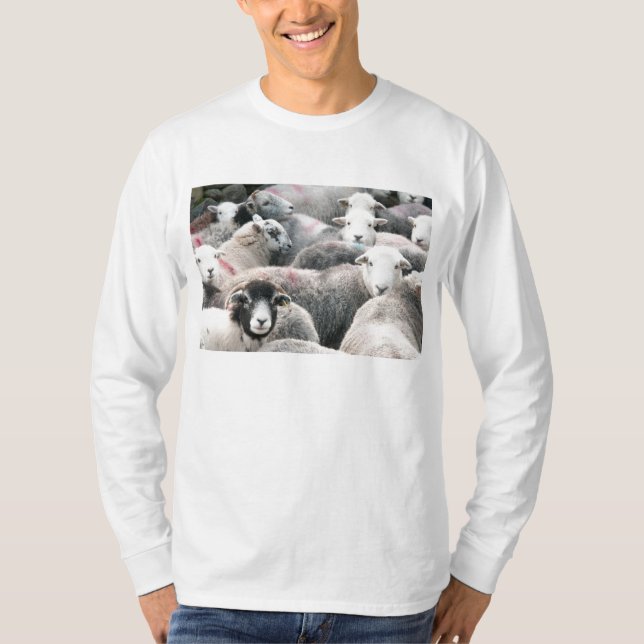 Camiseta Carneiros de Herdwick (Frente)