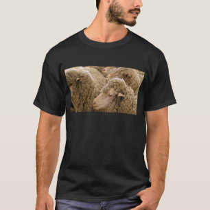 Camiseta Carneiros de Merino