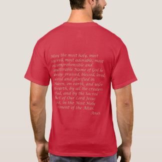 Camiseta Caro Sagrado de Jesus T Shirt