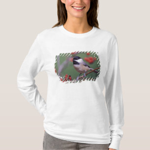 Camiseta Carolina Chickadee