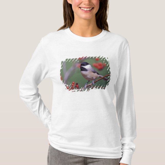 Camiseta Carolina Chickadee (Frente)