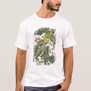 Camiseta Carolina Parakeet, de 'Birds of America', 1829