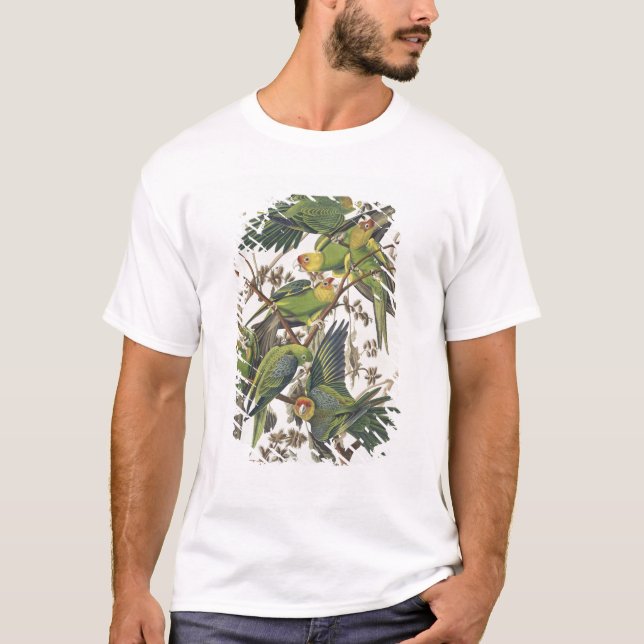 Camiseta Carolina Parakeet, de 'Birds of America', 1829 (Frente)