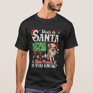 Camiseta Caros Papais noeis Antes De Explicar O Quanto Conh