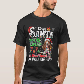 Camiseta Caros Papais noeis Antes De Explicar O Quanto Você