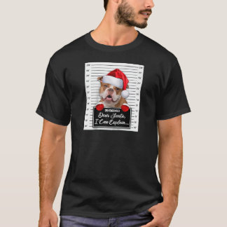 Camiseta Caros Papais noeis, Posso Explicar Engraçada Noite