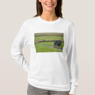 Camiseta Carrinho Amish em estrada rural, Nordeste de Ohio,