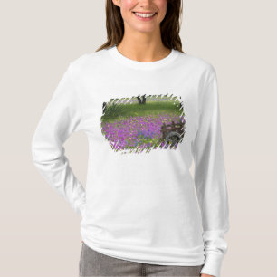Camiseta Carrinho de Madeira em Phlox, Blue Bonnets