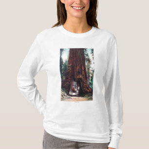 Camiseta Carruagem que viaja sob uma sequóia vermelha