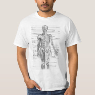 Camiseta Carta humana da anatomia